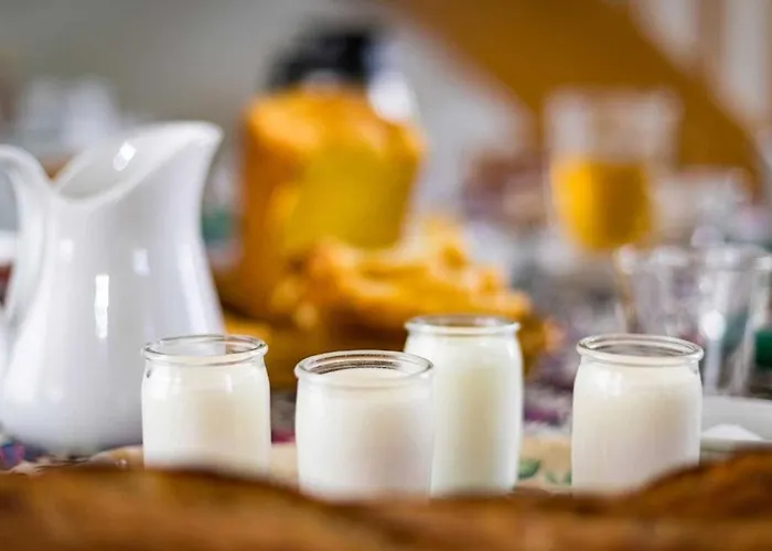 Dhotes Poule Sur Un Gasthuis