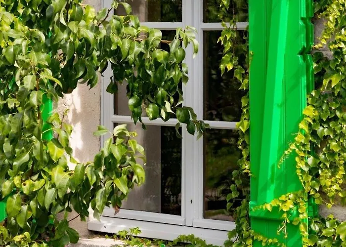 Dhotes Poule Sur Un 3*